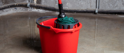 Bucket with mob in flooded basement or electrical room