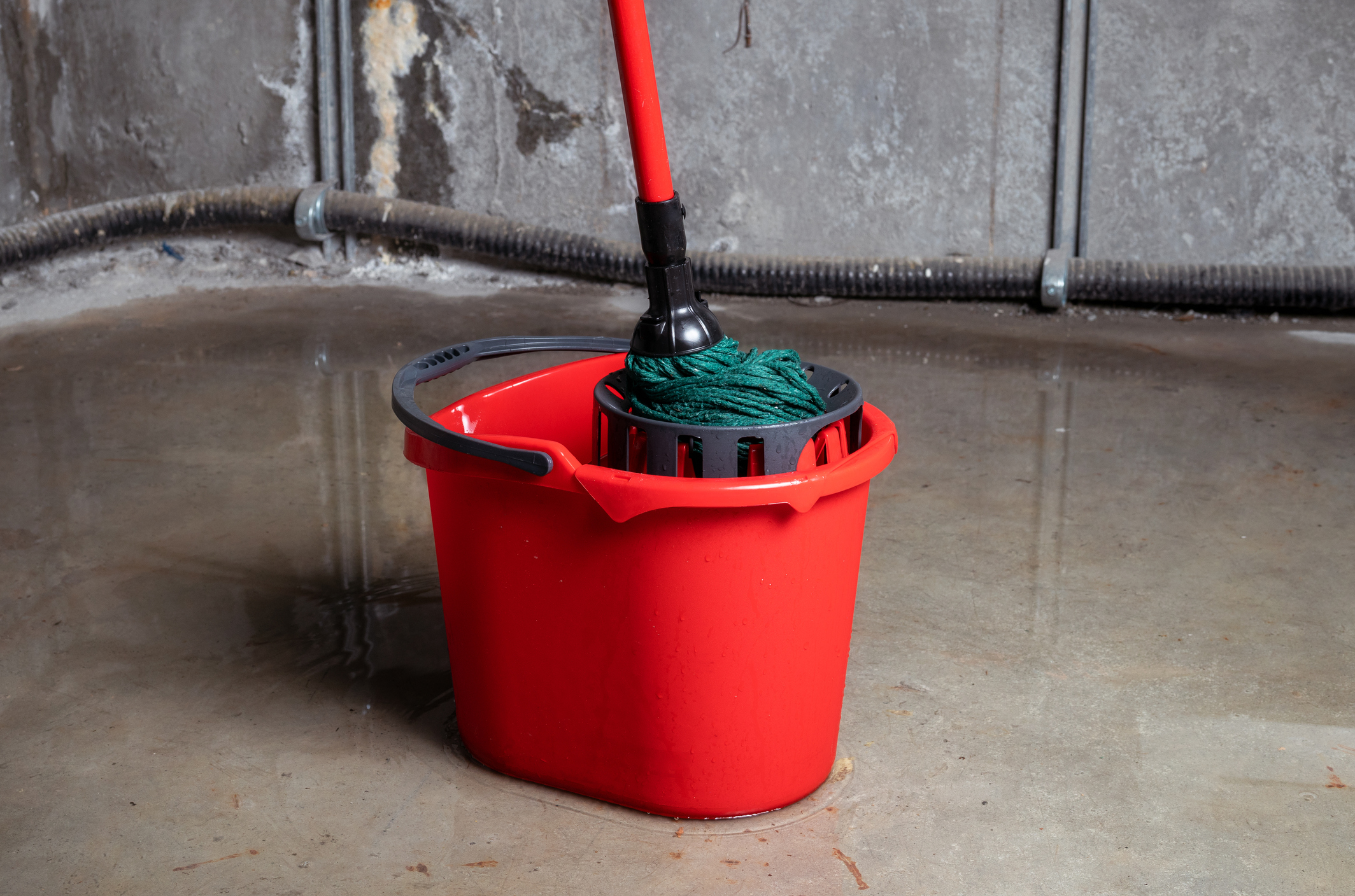 GettyImages-1454650837.jpg Bucket with mob in flooded basement or electrical room