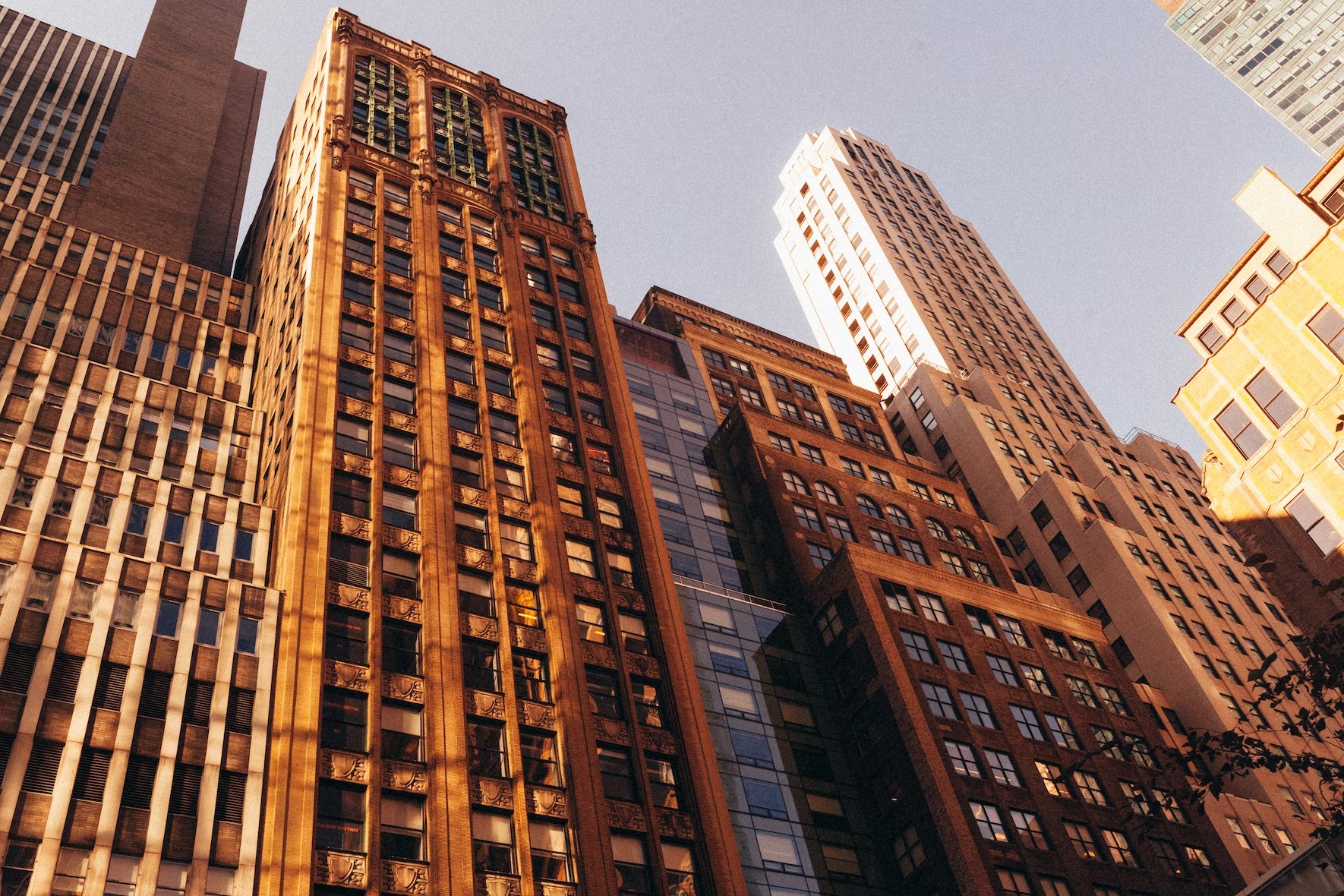 B2BHomepageBackground.jpg Boards and Buildings homepage background