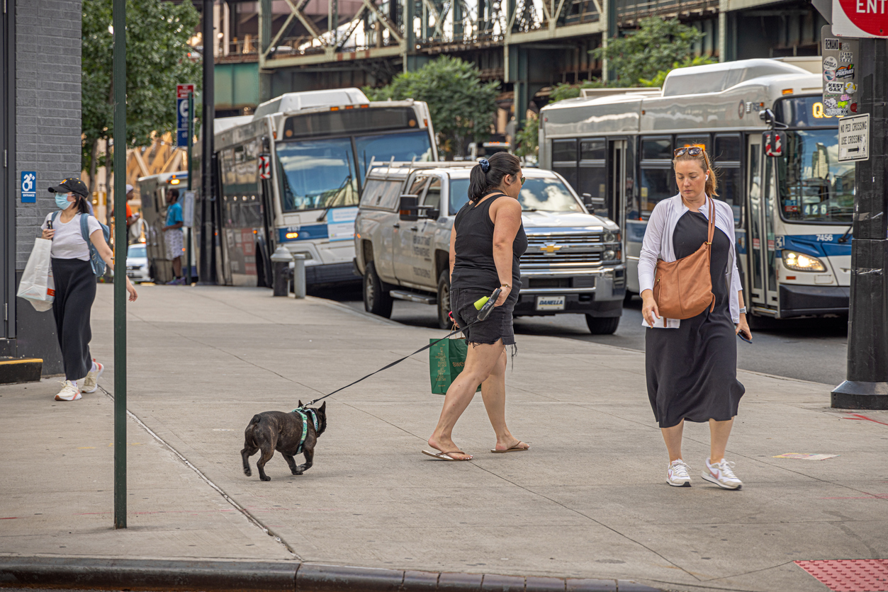 Woman with a small dog at Queensboro Plaza in Long Island City, Queens