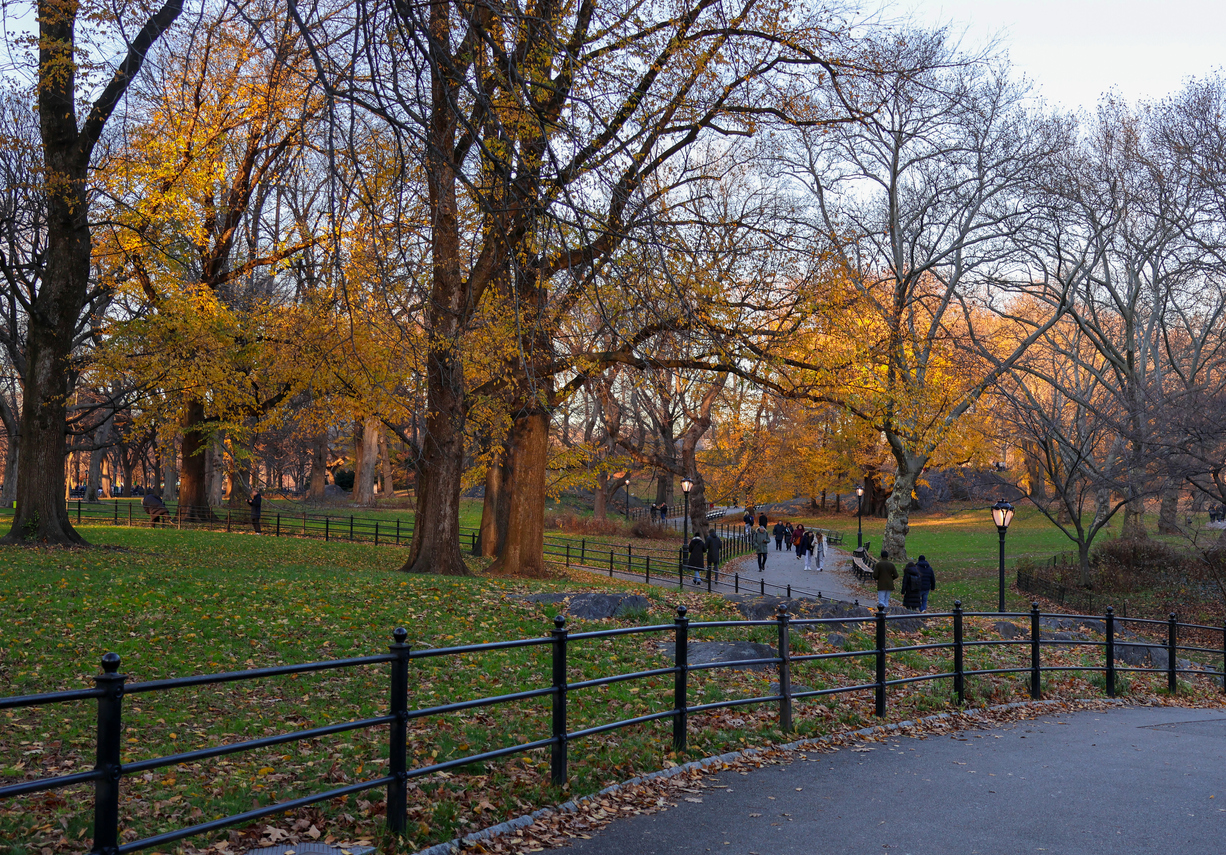 Central Park in New York