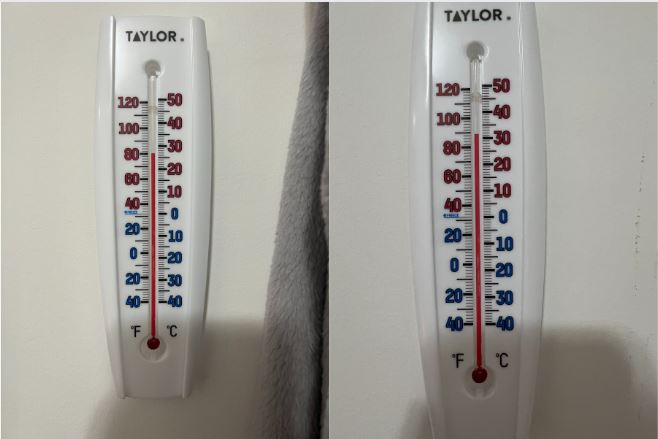 Taylor 6 Fahrenheit -60 To 120 Outdoor Wall Thermometer