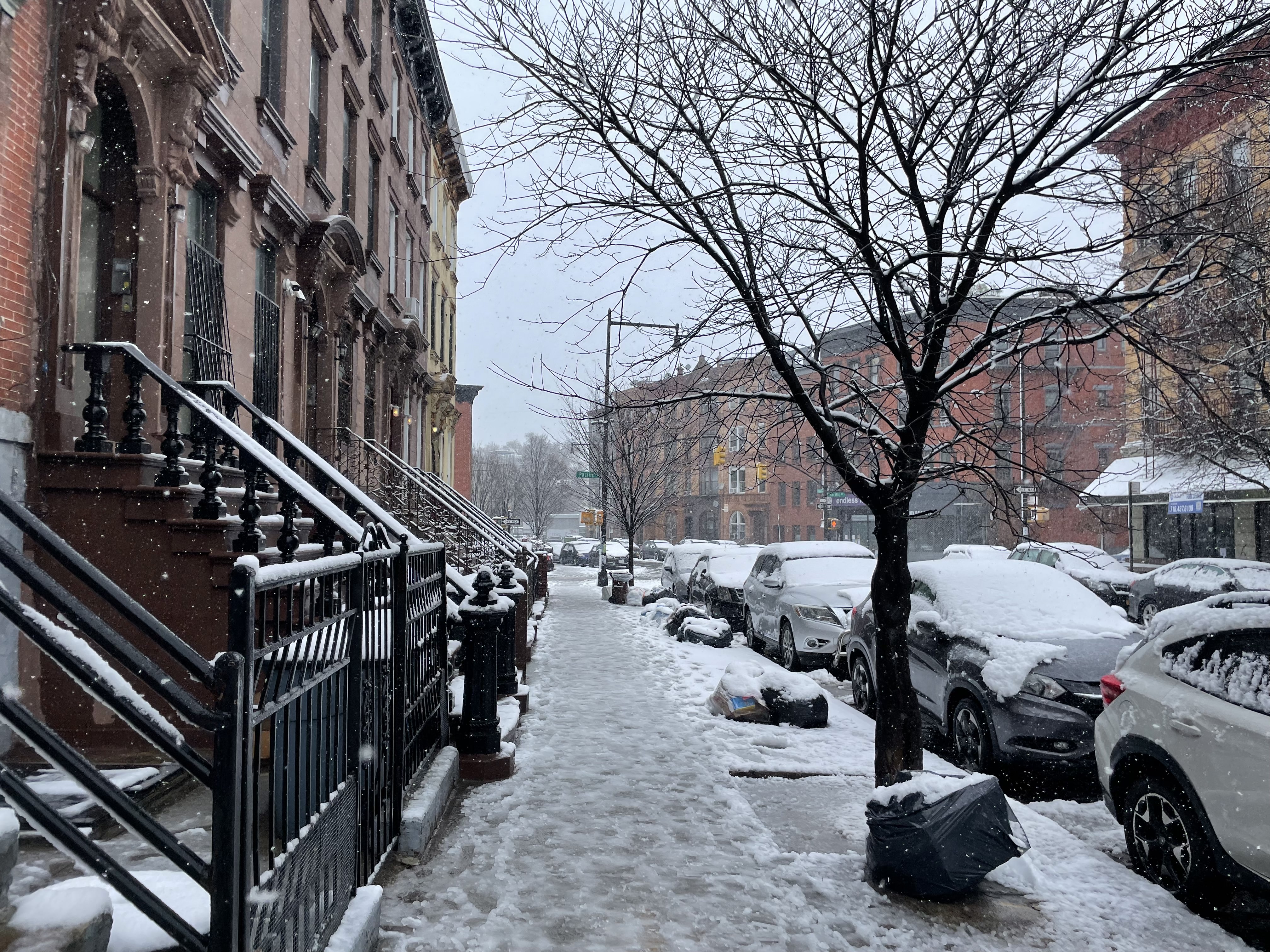 A snow-covered block in Brooklyn.