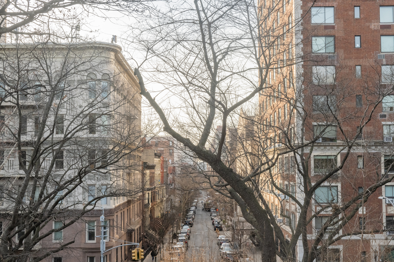 This is a photograph of a street in the Upper West Side in NYC viewed from the Summit in Central Park through bare tree branches. This is a photograph of a street in the Upper West Side in NYC viewed from the Summit in Central Park through bare tree branches.