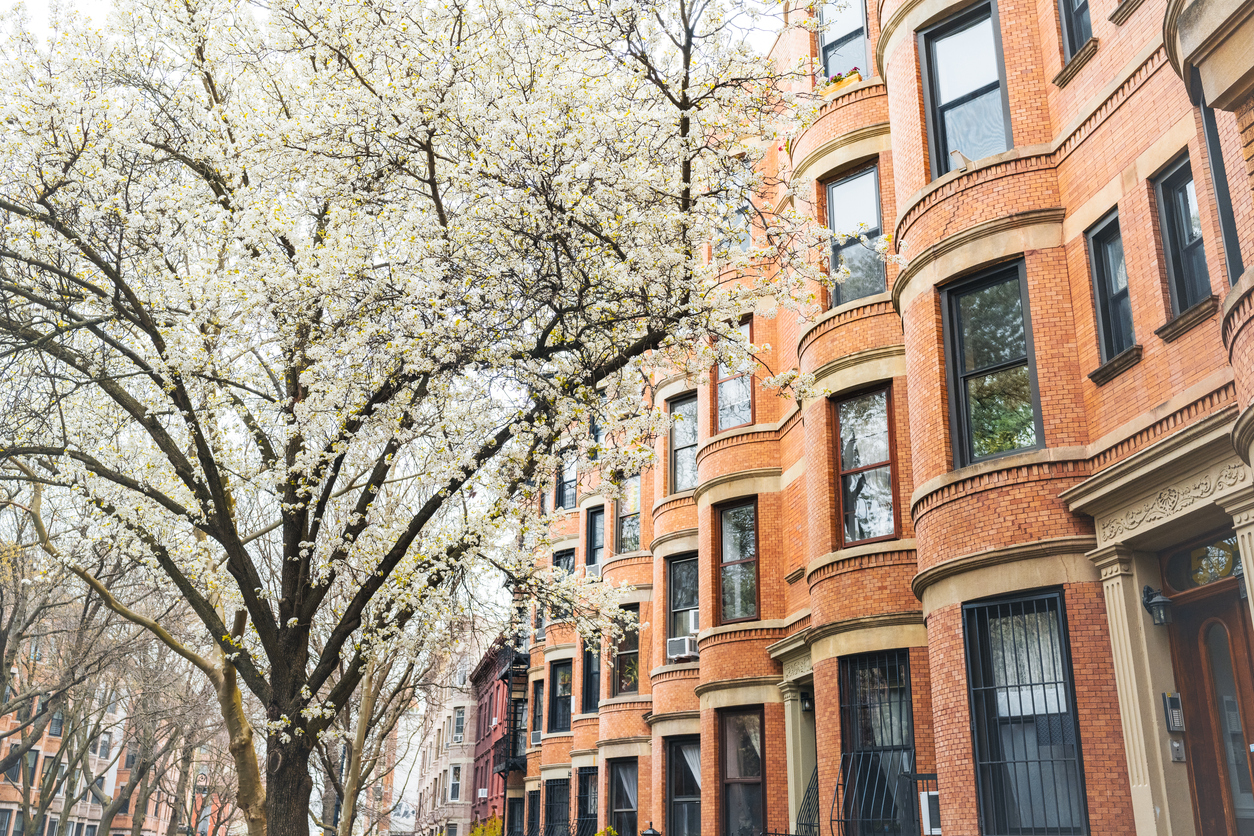 This is a photograph of spring flowers blooming beside residential buildings in the Park Slope neighborhood of Brooklyn, NY. This is a photograph of spring flowers blooming beside residential buildings in the Park Slope neighborhood of Brooklyn, NY.