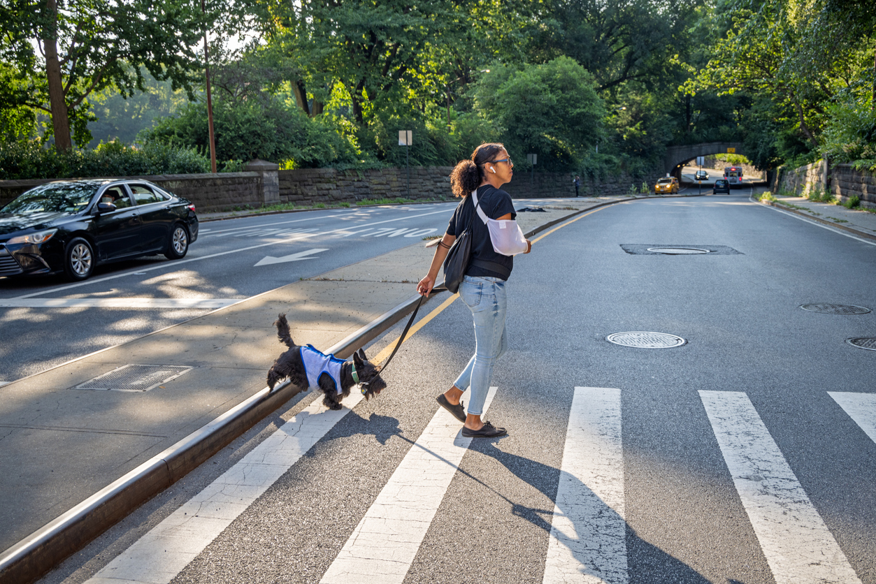 Woman with dog at crosswalk in Central Park in NYC