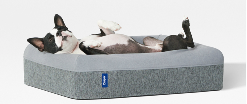 Stylish pet beds that will look good in your New York City apartment