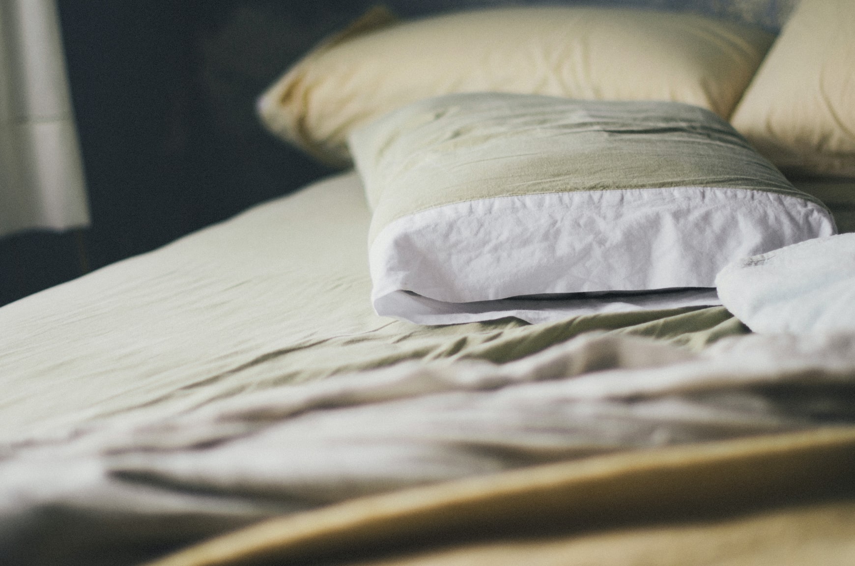 What is the apartment and building's bed bug history