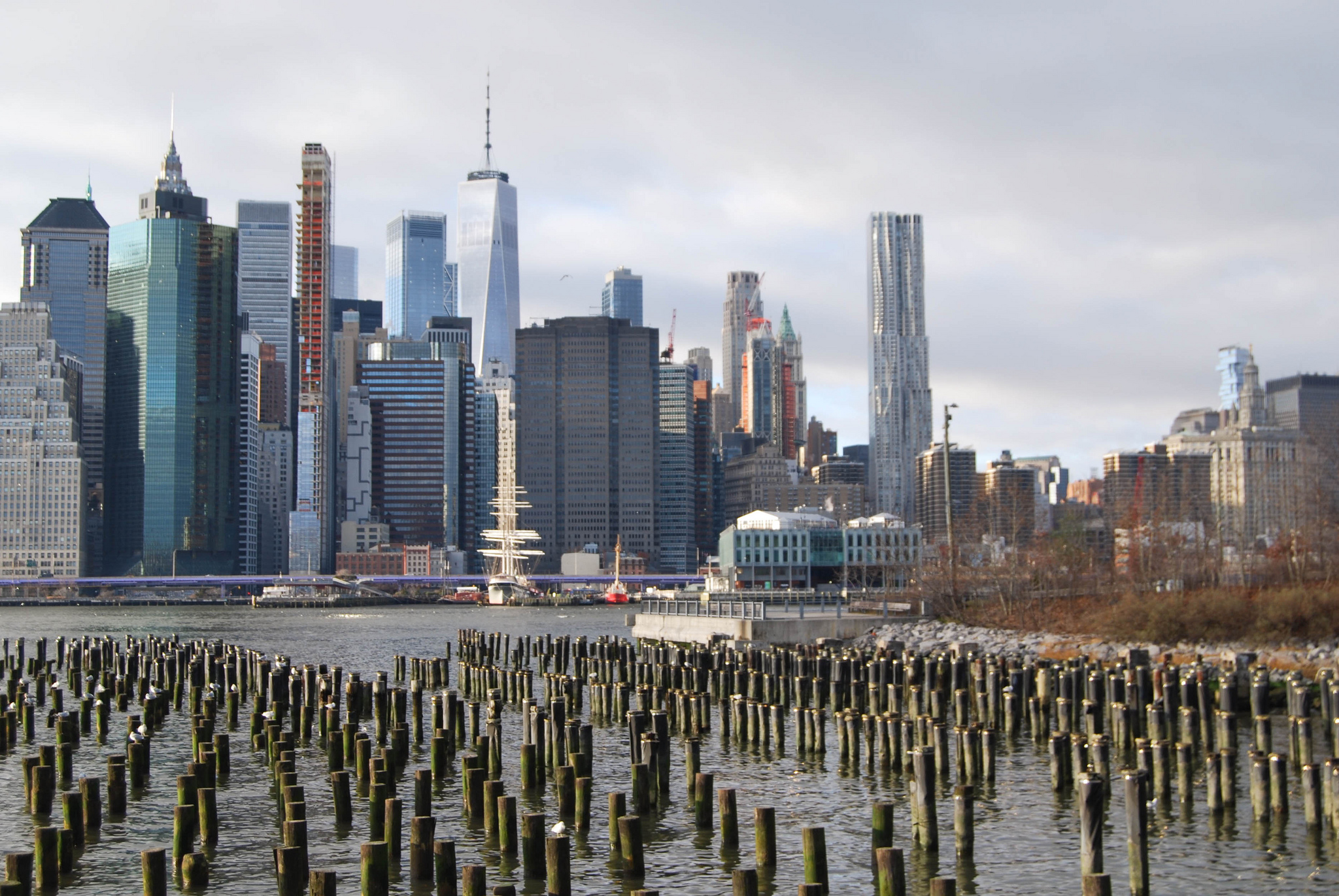 012419ClosingCredits.jpg image