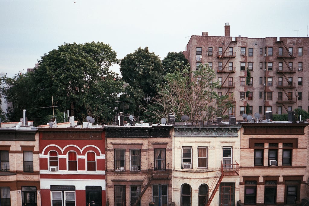 Crown Heights The insider's guide to living there