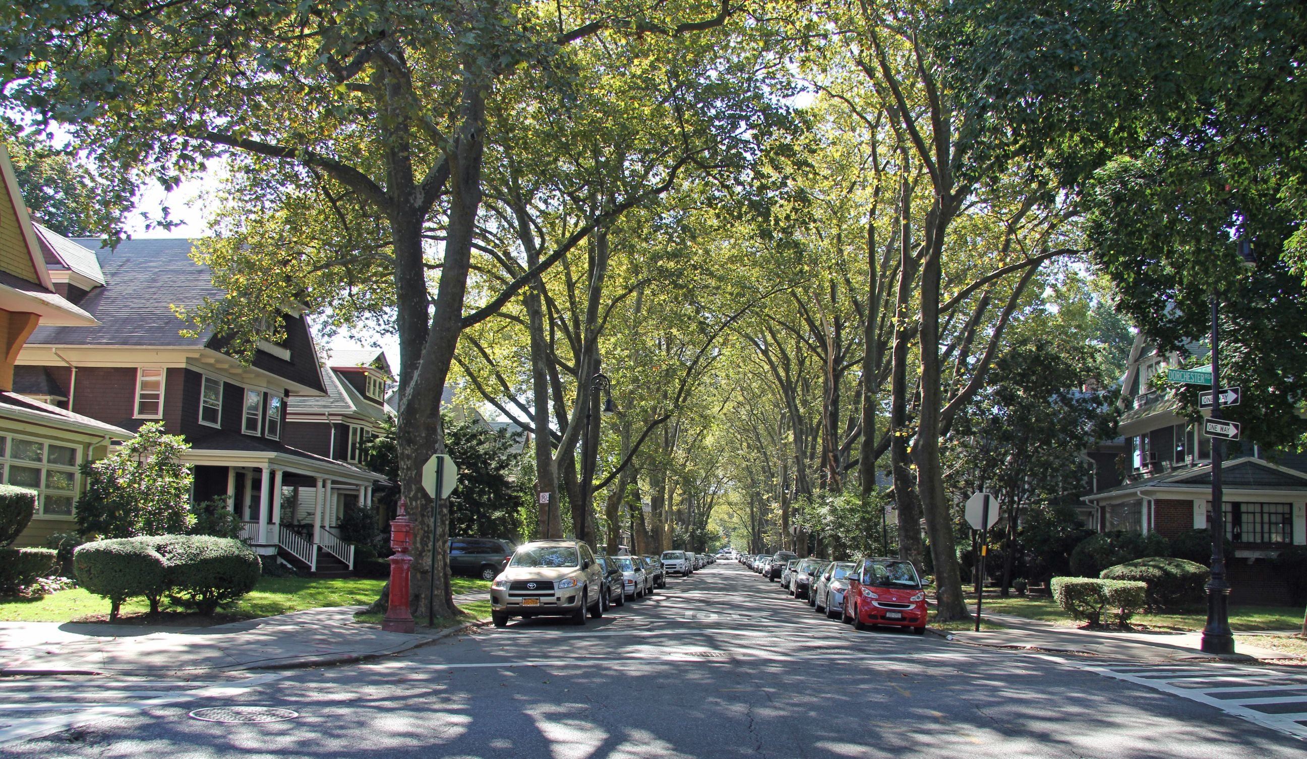 Dimas Park