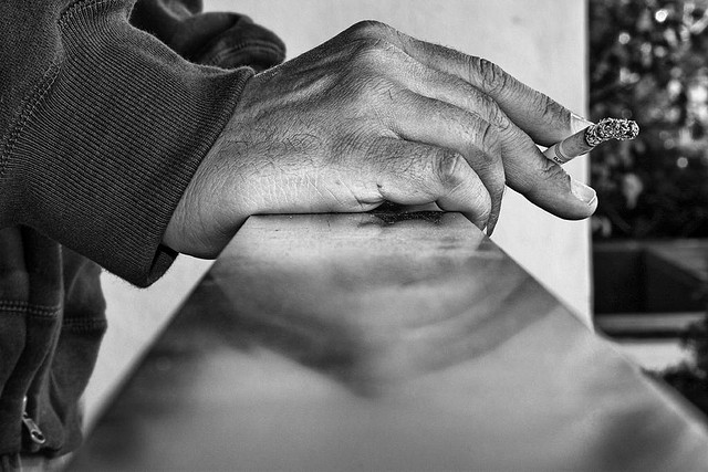 2927541306_55b9deb7b5_z.jpg image