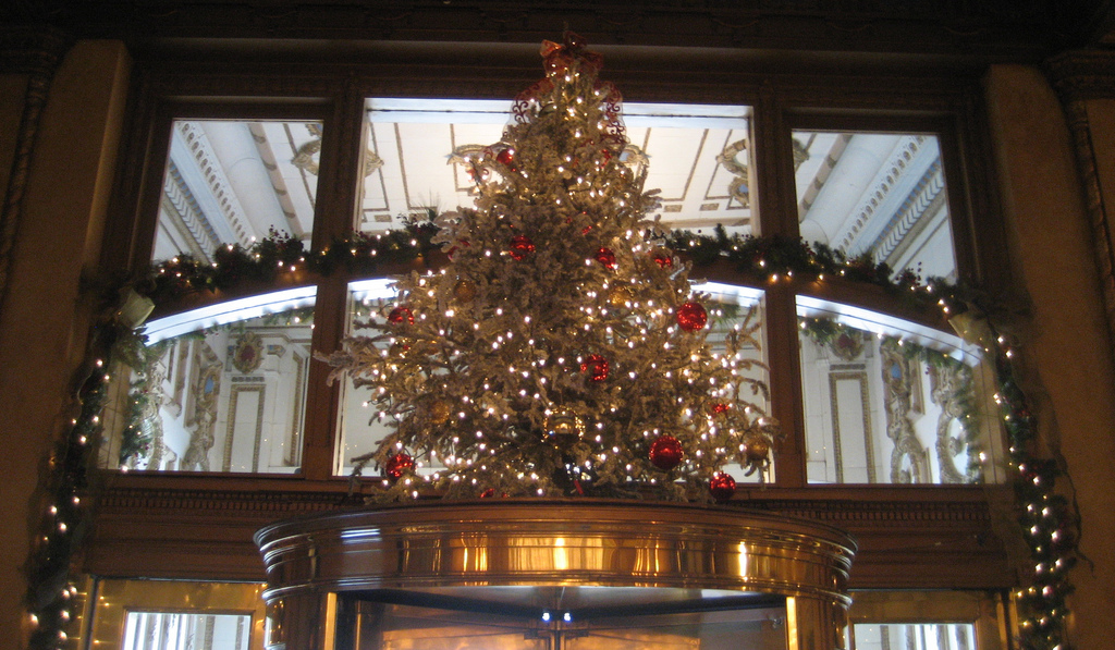 4191679446_79a09531e4_b.jpg image