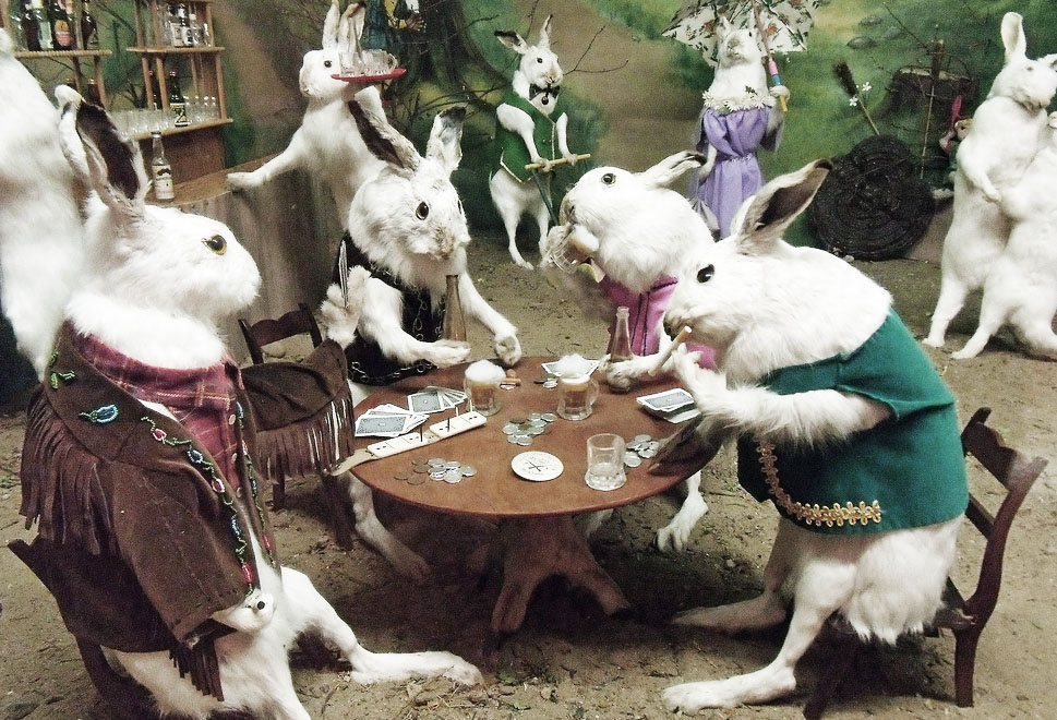 5064271562_abf3a06434_b.jpg image