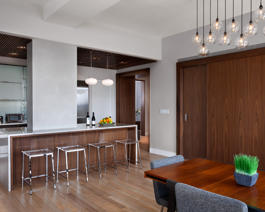 5_Katz Architecture_LIC Penthouse Combination_John Bartelstone_0.jpg image