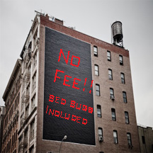 Bed bugs included.jpg