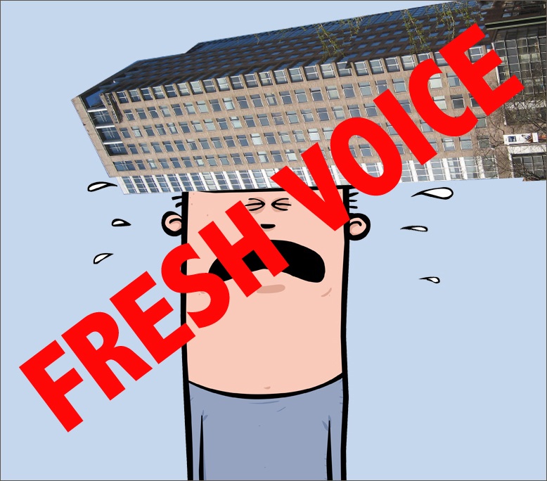 NYC Renovation Chronicles.jpg