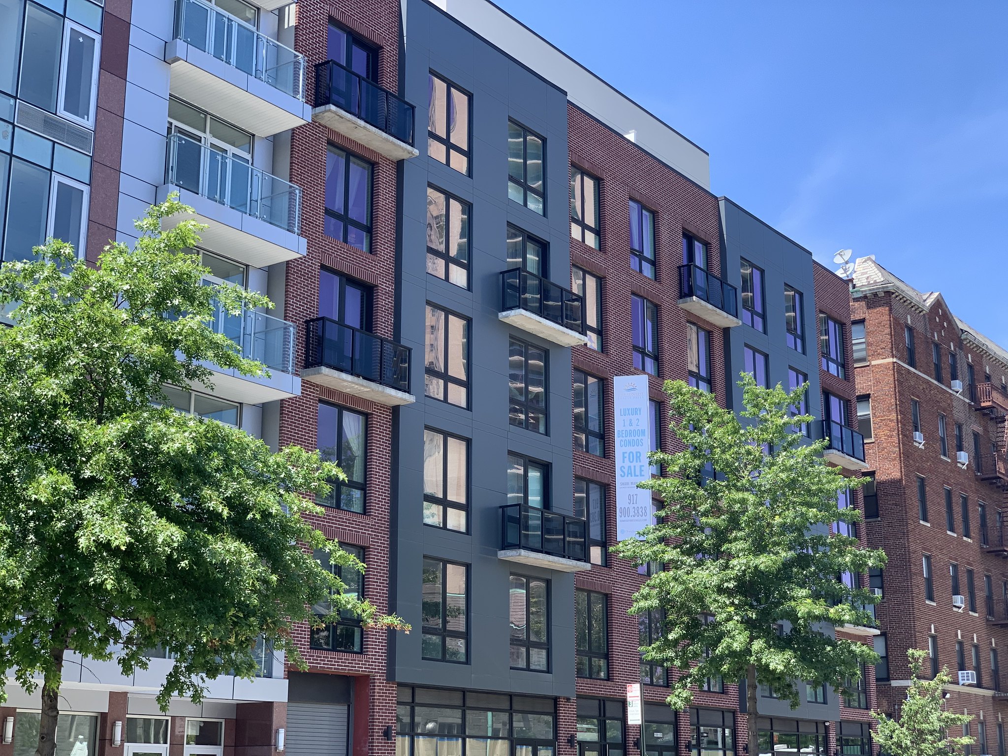 OpenHouseDead.jpg image