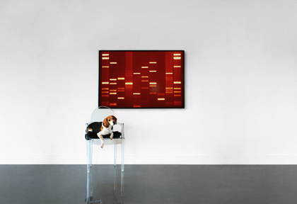 Puppy 1-SMALL.jpg