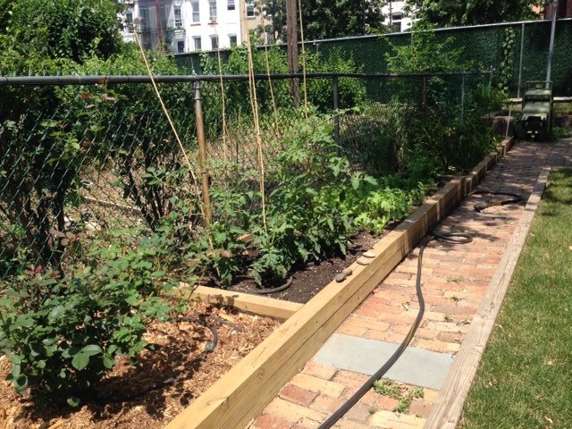 Build your own raised backyard veggie garden: an 8-step ...