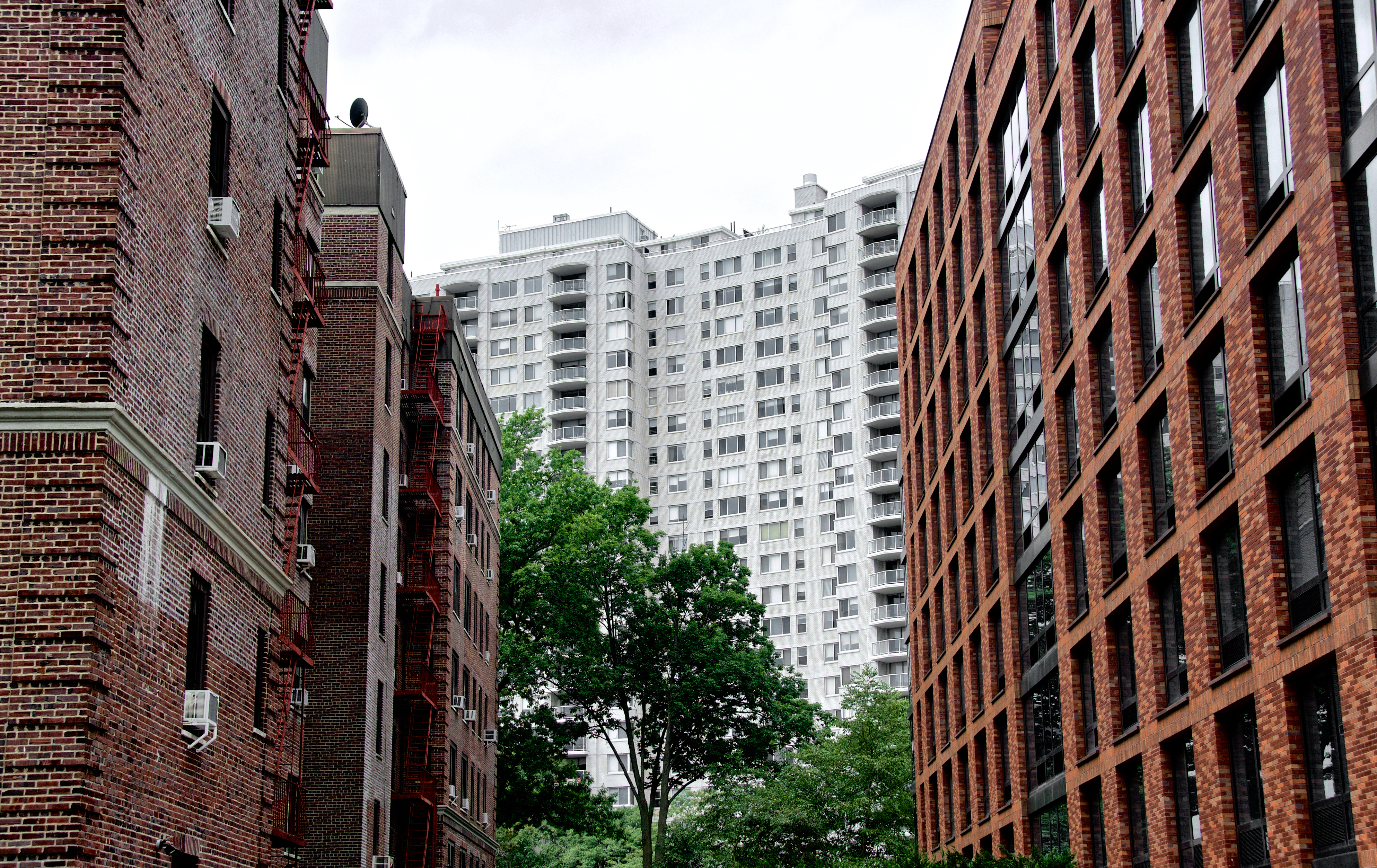 Bronx Back Pege