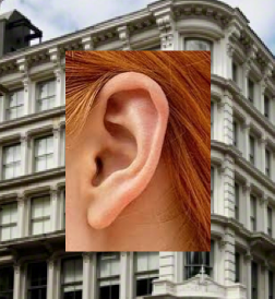 Screen Shot 2011-12-09 at 6.58.26 AM.png image