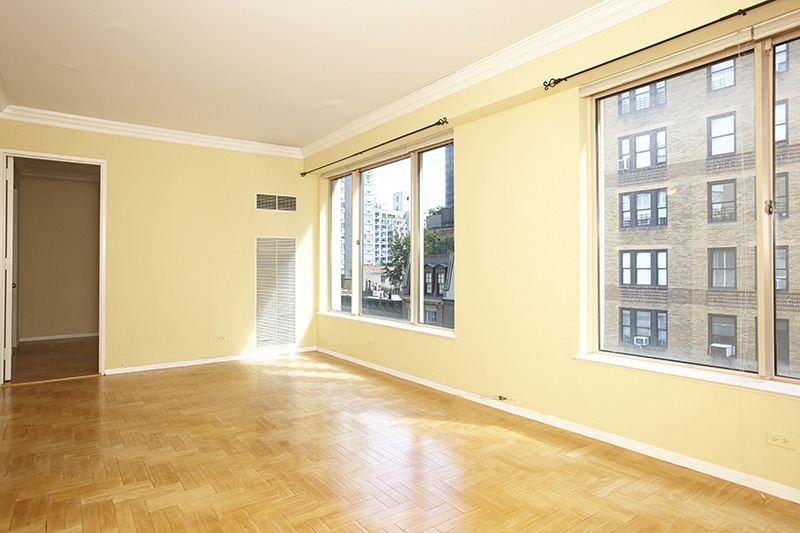 Buy Curious Will 1 million buy a NYC apartment for a couple and their two Great Danes?