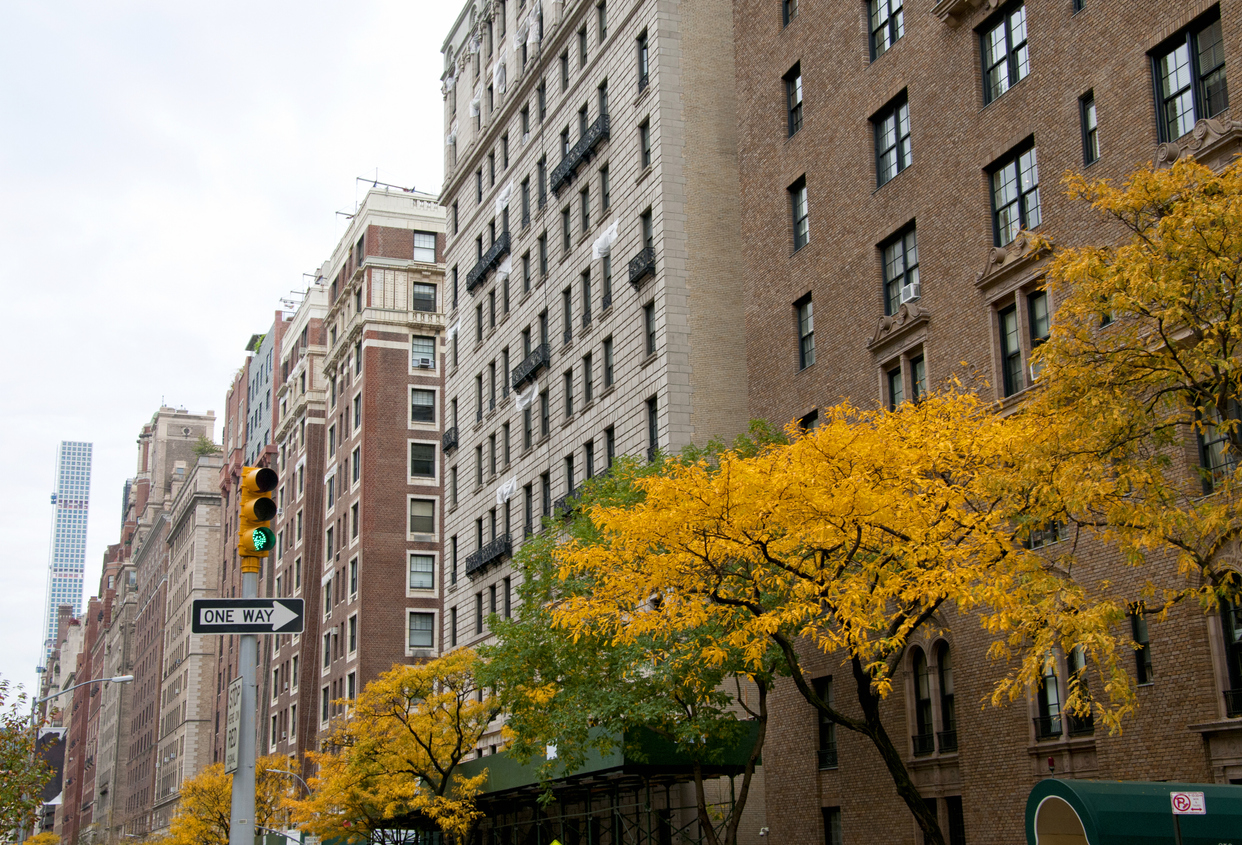 Interracial dating in spuyten duyvil new york times Interracial dating in spuyten duyvil new york times