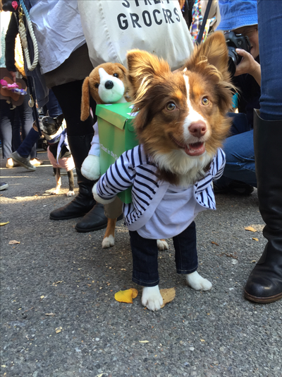 Zubin_Ruby_Movers.png image