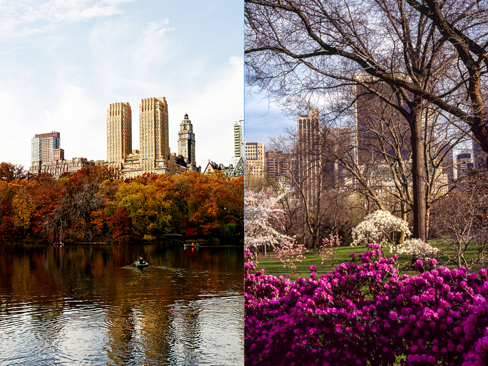 centalpark6.jpg image