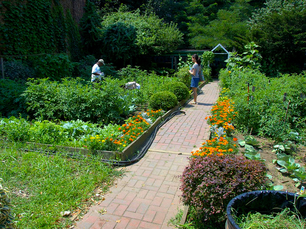 communitygarden.jpg image