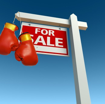 for sale boxing.jpg for sale boxing.jpg