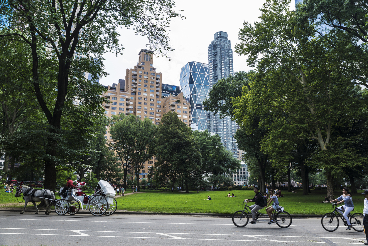iStock-1135542712.jpg image