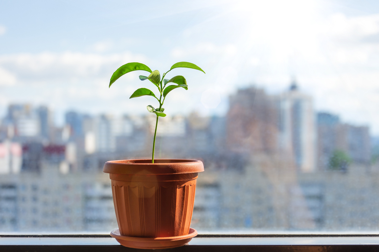 iStock-1269362251.jpg image