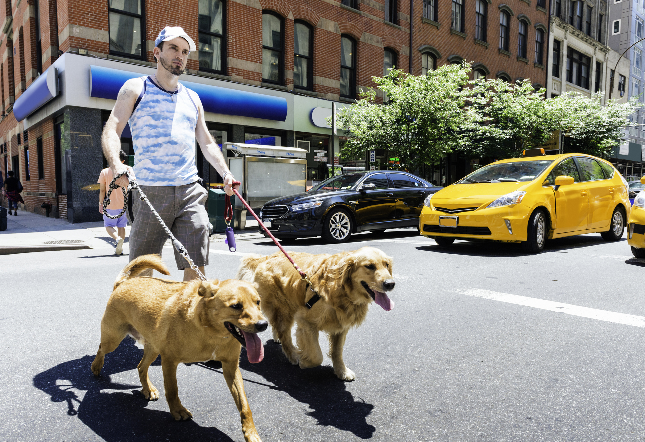 Отличный день стать собакой 3. Мужчина выгуливает собаку. Мужчина гуляет с собакой. Прогулка с двумя собаками. Прогулка с собакой в городе.