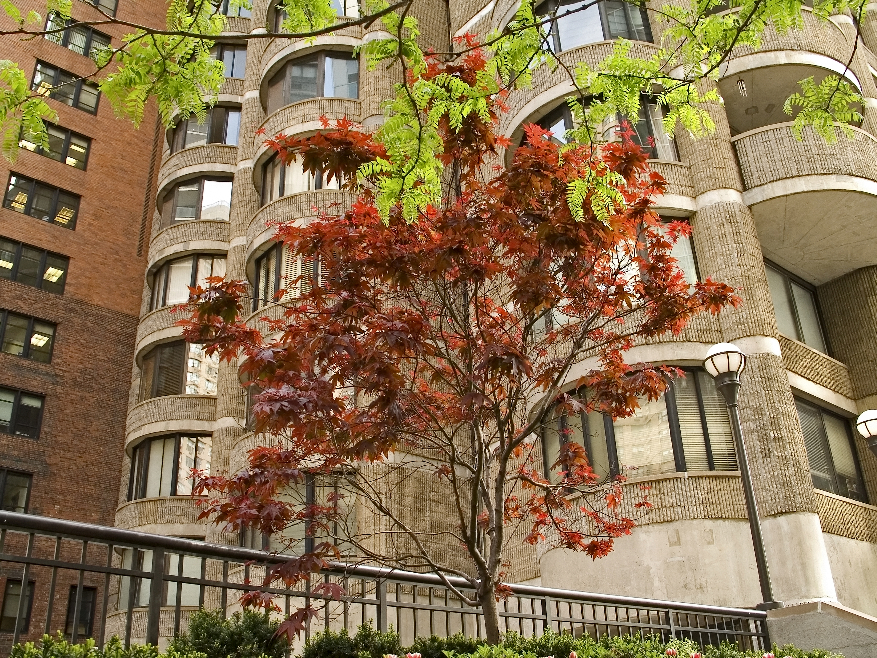 iStock_000001658144_Large.jpg image