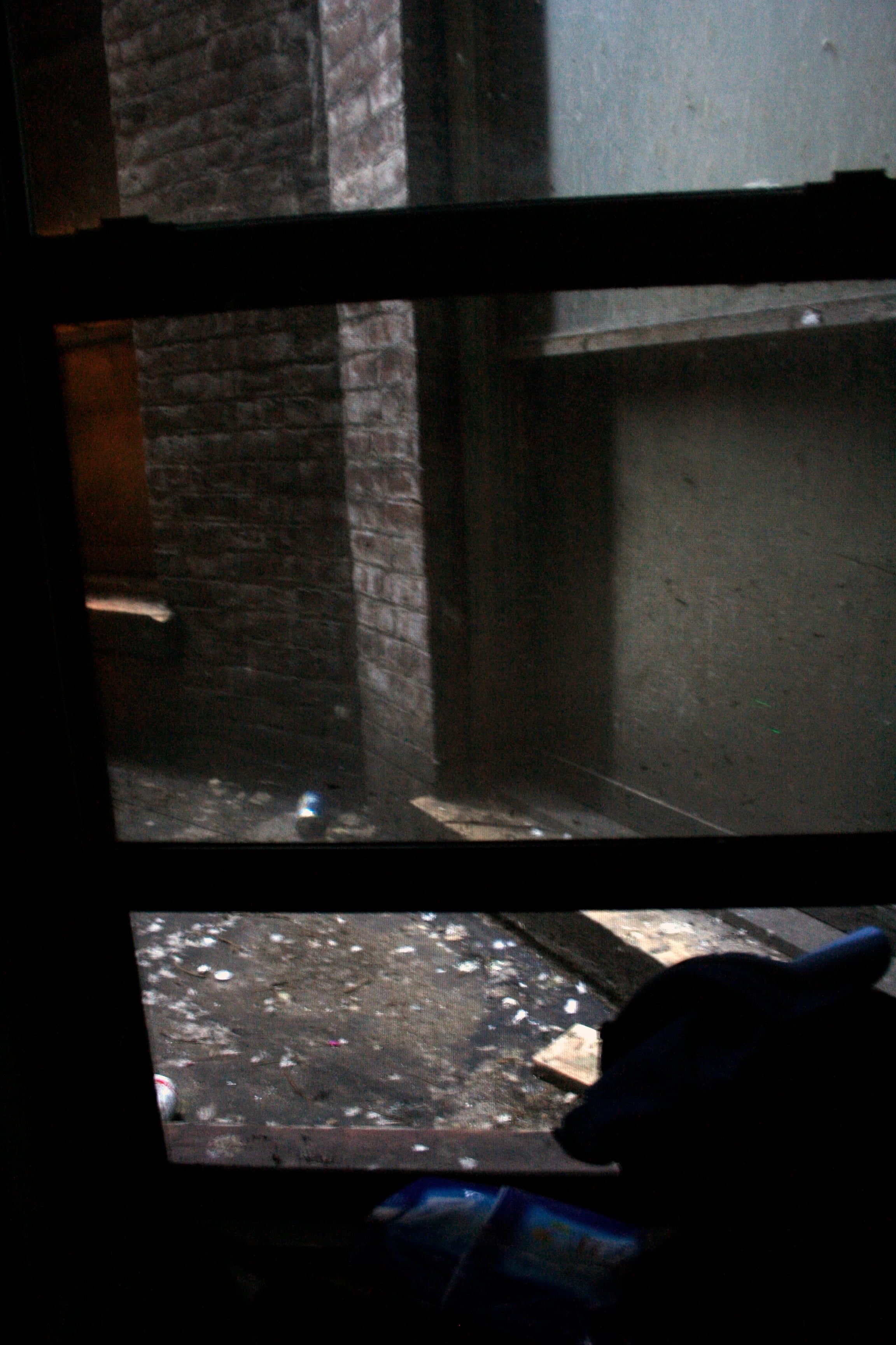 my living room window.jpg