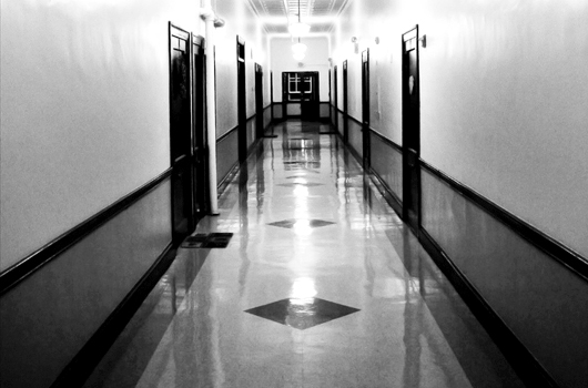 neighbors3 copy.jpg image