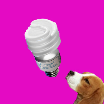 odor zapping bulb.jpg
