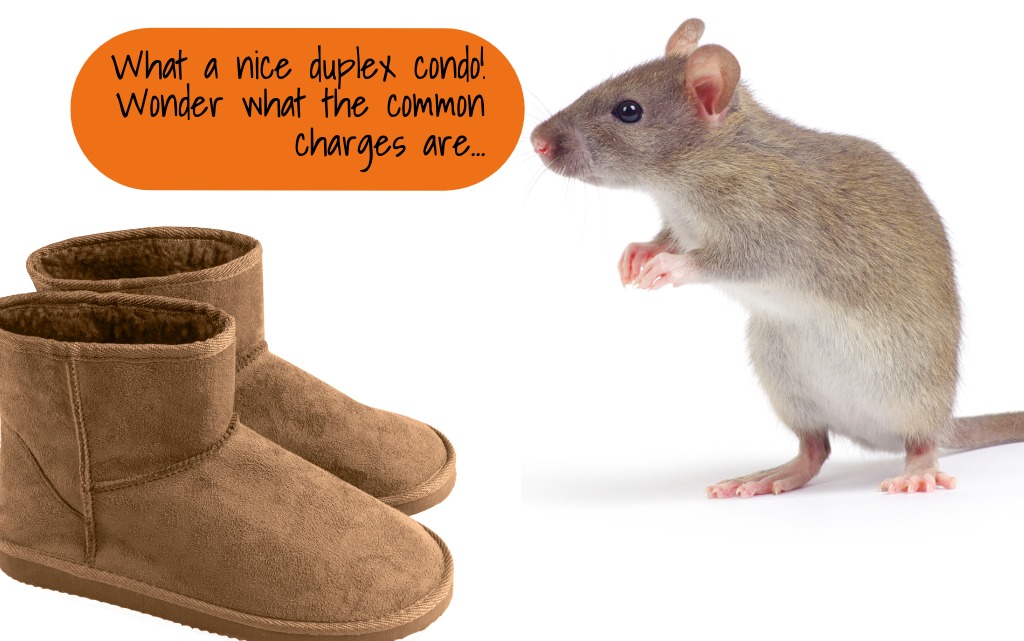 rat.jpg_s=1024x1024&w=is&k=20&c=0y7jkatKN0RuDlJ3tx_wiTl6w0Yt5ZD3_vDMJwWRbnI=.jpg image