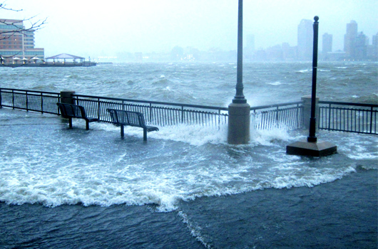 sandyfinal.jpg image