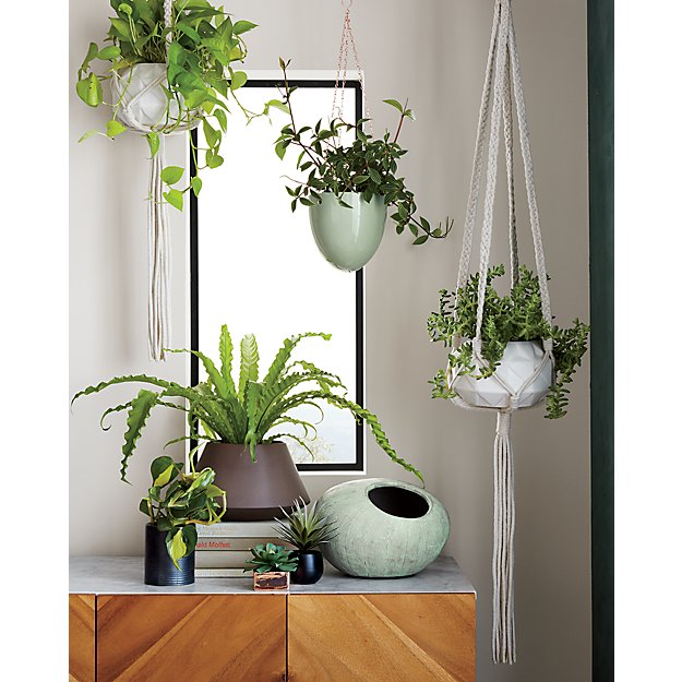 Macrame Planter