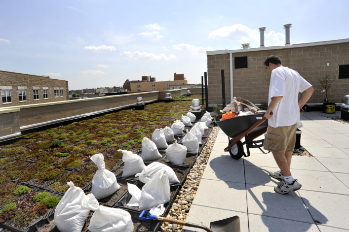 A roof garden on a Bronx apartment building