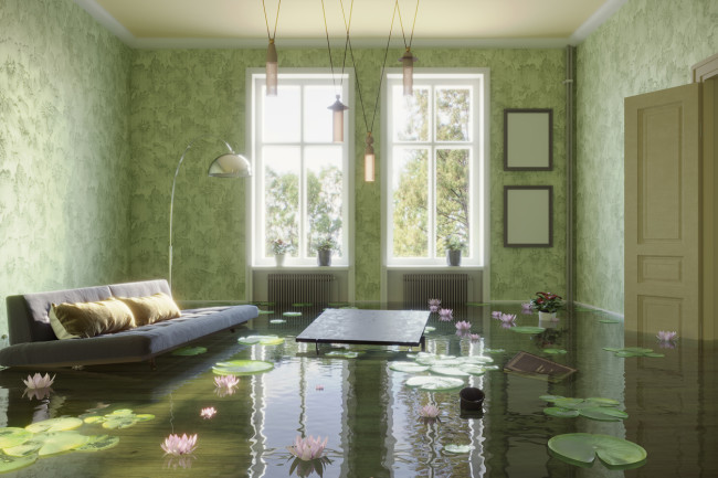 A living room taken over by a pond.