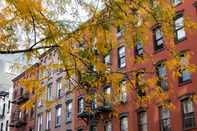 A row of colorful old brick residential buildings with fire escapes and colorful trees during autumn in the East Village of New York City