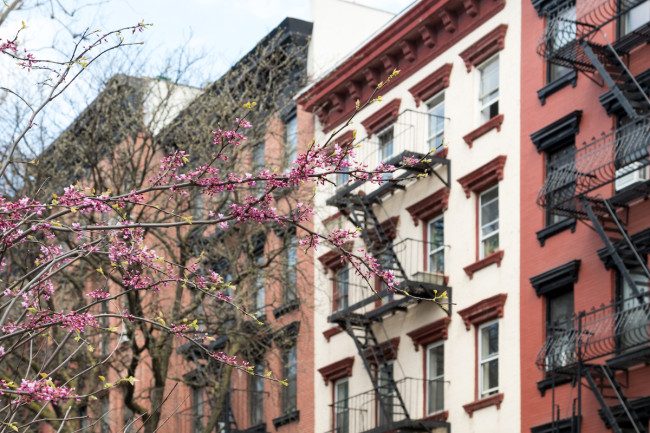 50919 douglas elliman april 2019 rental market report _istock.jpg image