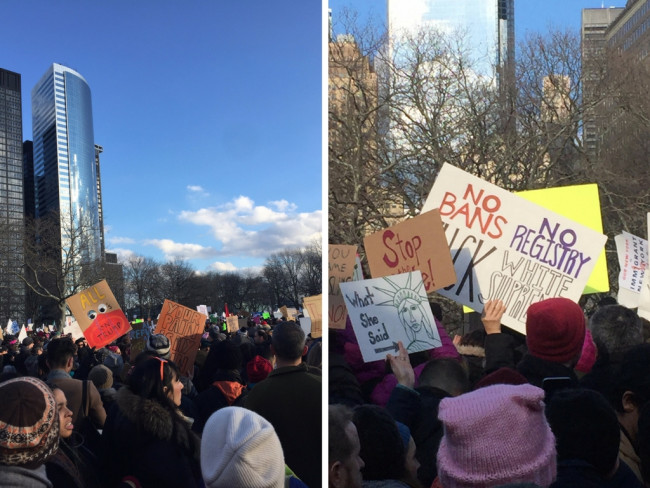 Battery Park protests.jpg image