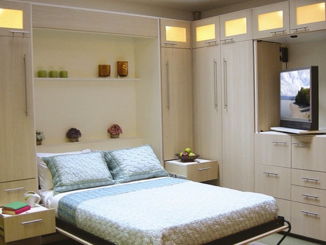 Murphy _bed_open_&_storage1.jpg image