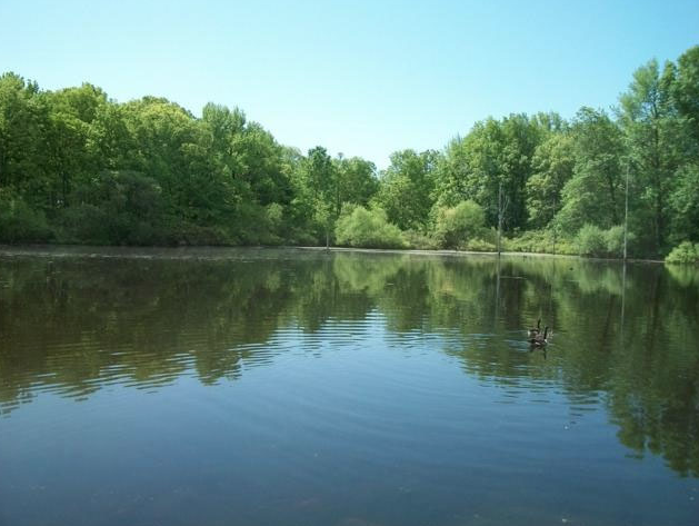 Screen Shot 2015-09-03 at 10.28.52 AM.png image