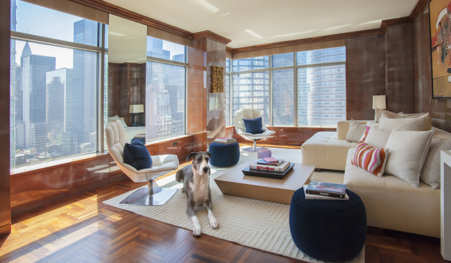 180815RealEstateDog.png image